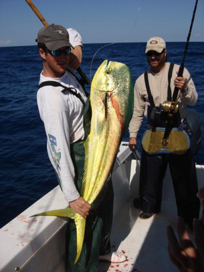 March 1st Dolphinfish - A Surprise!
